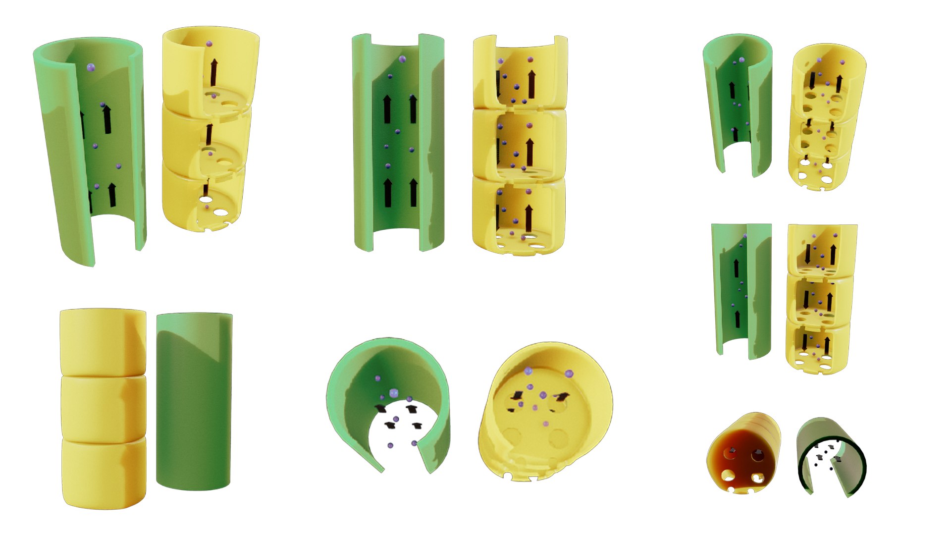 3D Xylem and Phloem Anatomy model https://p.turbosquid.com/ts-thumb/NE/xDjbJB/hj/xylem_and_phloem_anatomy_color/png/1764428009/1920x1080/fit_q87/3764c6f4c9e24d859638823082767596c2498dda/xylem_and_phloem_anatomy_color.jpg