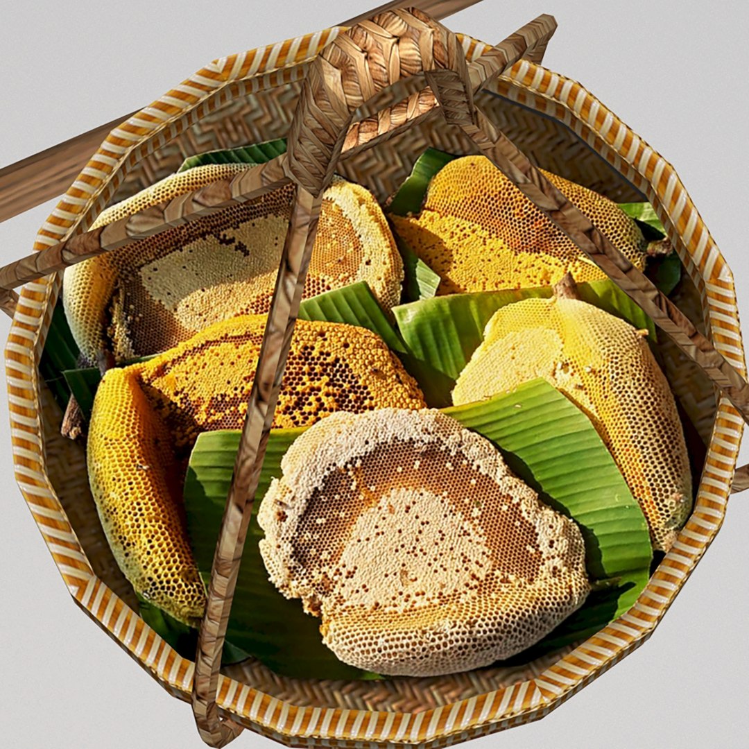 Avika Honey Vendor ver1 low poly 3D https://p.turbosquid.com/ts-thumb/NF/584QRB/50/71920/jpg/1670239986/1920x1080/fit_q87/82be70bb0440dc7015d3db0ef100874e8069eb2f/71920.jpg