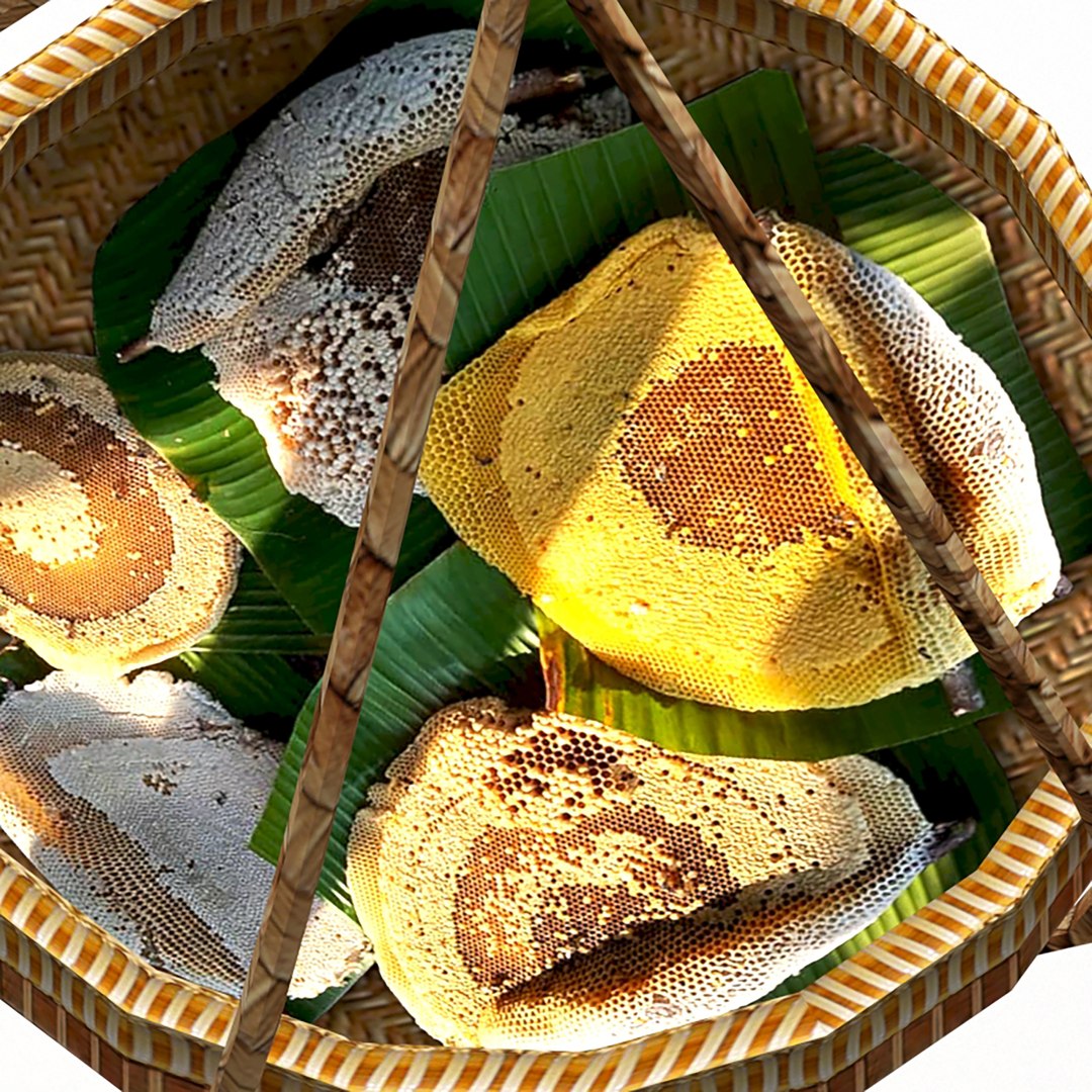 Avika Honey Vendor ver1 low poly 3D https://p.turbosquid.com/ts-thumb/NF/584QRB/jh/61920/jpg/1670239986/1920x1080/fit_q87/3cef7e2f1e3a67a0135fa3c189773d2584102a2d/61920.jpg