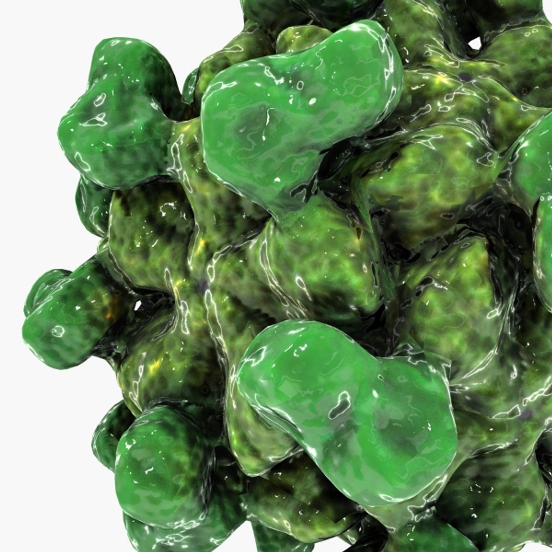 hepatitis e virus 3d model https://p.turbosquid.com/ts-thumb/NF/C4pzWb/VxoIEZpg/hepatitiseclose/jpg/1329112462/1920x1080/fit_q87/14575cfe81a8b8a30099f6558c55930eb0c415b2/hepatitiseclose.jpg