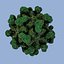 Hepatitis E Virus