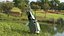 Golf Bag with Clubs