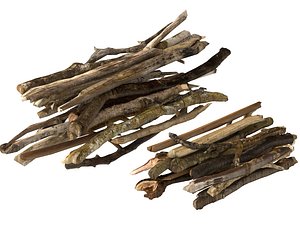 3D Dry Twigs Branches Firewood Pile 3D Prop Set model