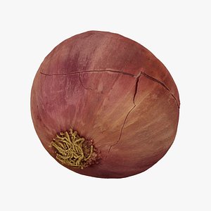3D Red Onion - Extreme Definition 3D Scanned
