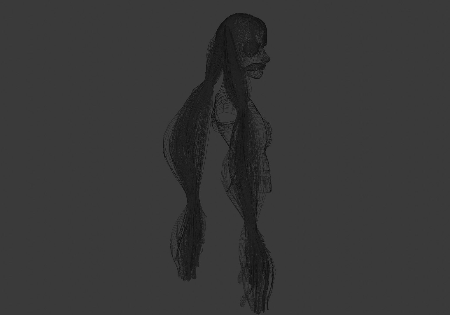 3D Ponytails Pigtails Hairstyle https://p.turbosquid.com/ts-thumb/NF/Uh2CId/Ng/20000_wire0003/jpg/1660000901/1920x1080/fit_q87/df80e99ce72a578abb52d258101712aa9df114a4/20000_wire0003.jpg