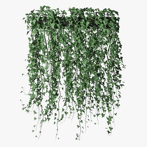 ivy pot model