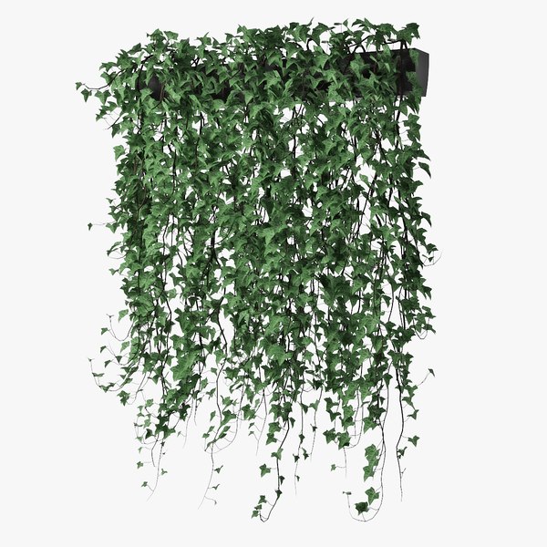 Ivy pot model - TurboSquid 1562663