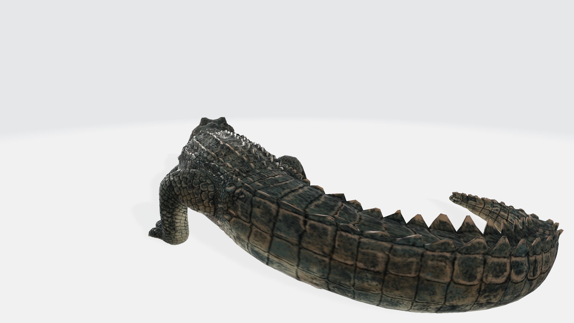 3D Alligator https://p.turbosquid.com/ts-thumb/NF/iRf1AM/g7/alligator001234/png/1730554174/1920x1080/fit_q87/475bbe15f6133803d7784825920cc2a8738865c3/alligator001234.jpg
