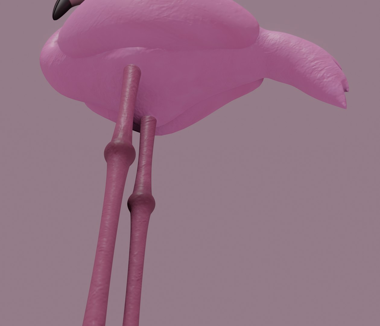 flamingo nature bird model https://p.turbosquid.com/ts-thumb/NF/pqhzWJ/Bo/screenshot20201208at11.39.21am/png/1607772237/1920x1080/fit_q87/d04fcb94fa2c8858247876cbcc8acbf2096250a6/screenshot20201208at11.39.21am.jpg