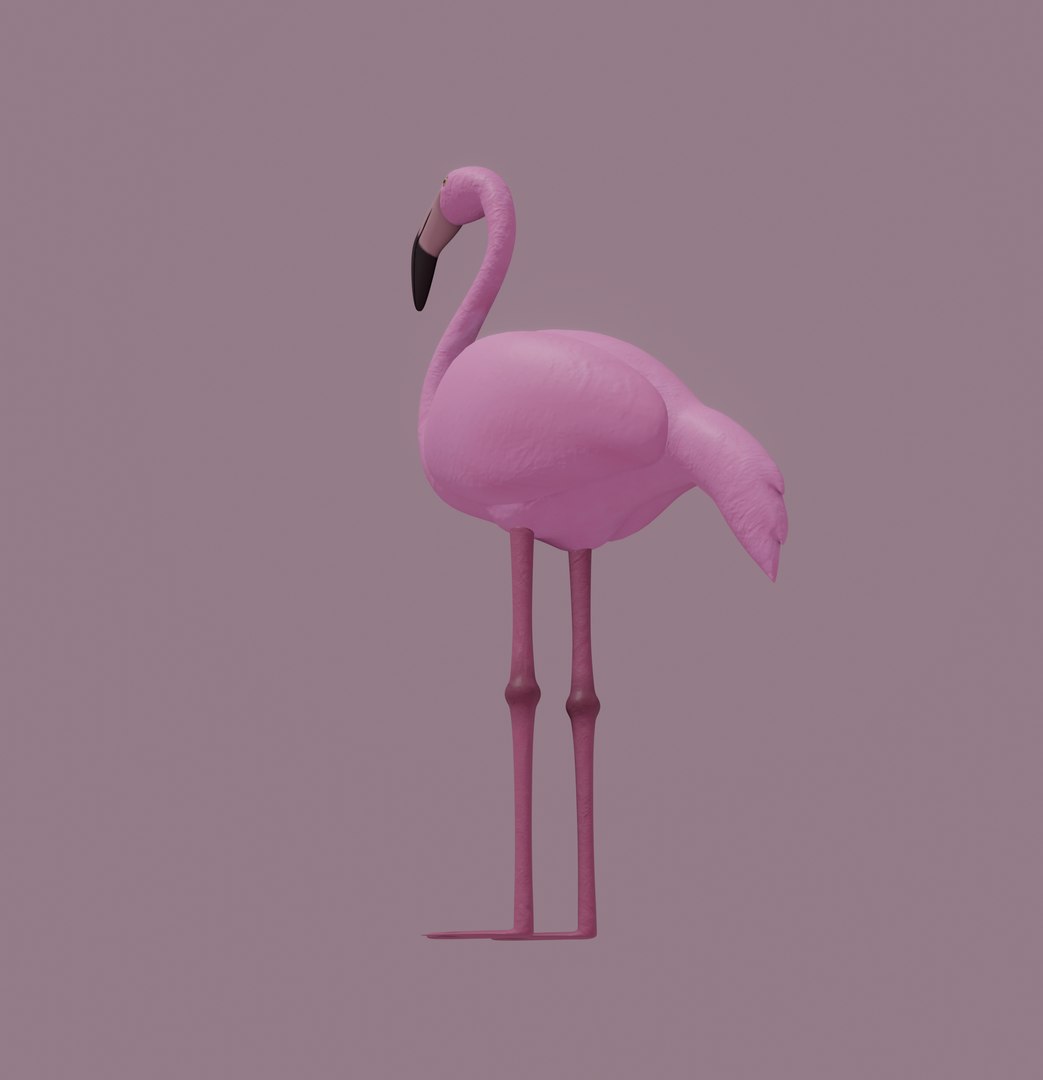 flamingo nature bird model https://p.turbosquid.com/ts-thumb/NF/pqhzWJ/YE/screenshot20201208at11.38.46am/png/1607772113/1920x1080/fit_q87/b4d08dee86e2a0389acfc3f82f03c9f67266647b/screenshot20201208at11.38.46am.jpg