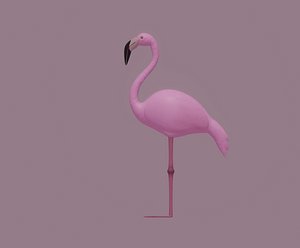 flamingo nature bird model