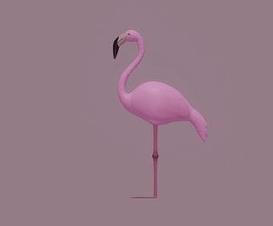 Flamingo