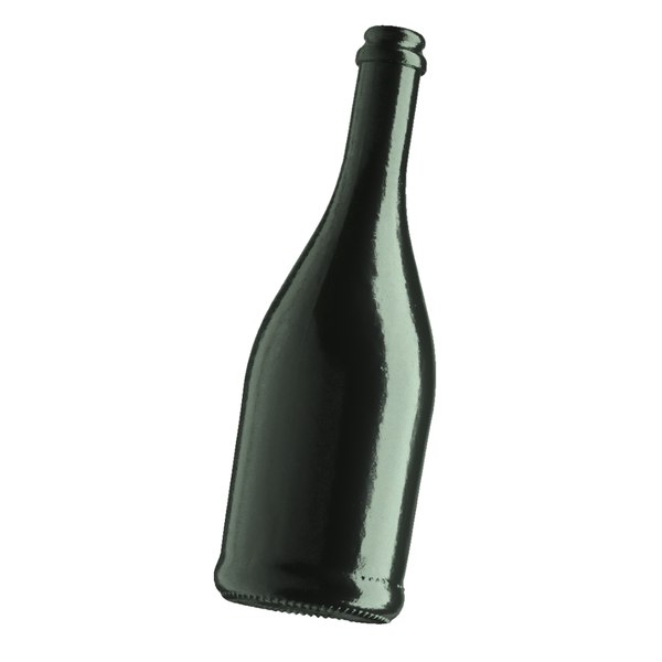 3D champagne bottle model