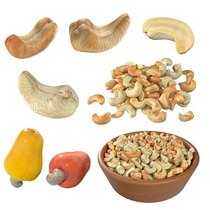 3D Cashew fruit set