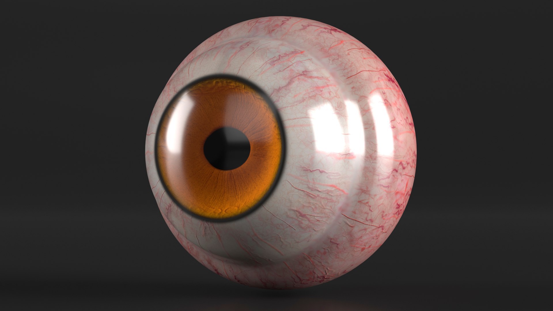 3D Realistic Animal Eyes Collection 5 model https://p.turbosquid.com/ts-thumb/NG/P8XU06/Io/realistic_animal_eyes_collection_5_007/jpg/1714119314/1920x1080/fit_q87/cc32f7da8e41e83b955135abf13bee0ecc977c16/realistic_animal_eyes_collection_5_007.jpg