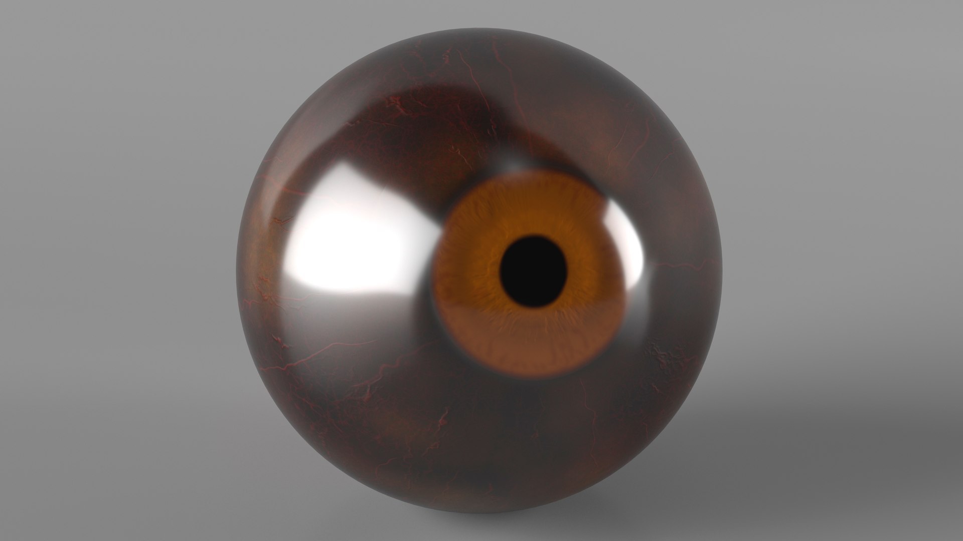 3D Realistic Animal Eyes Collection 5 model https://p.turbosquid.com/ts-thumb/NG/P8XU06/Sn/realistic_animal_eyes_collection_5_024/jpg/1714119323/1920x1080/fit_q87/f747d887e2cff6acb02948f176d99759d5256a9a/realistic_animal_eyes_collection_5_024.jpg