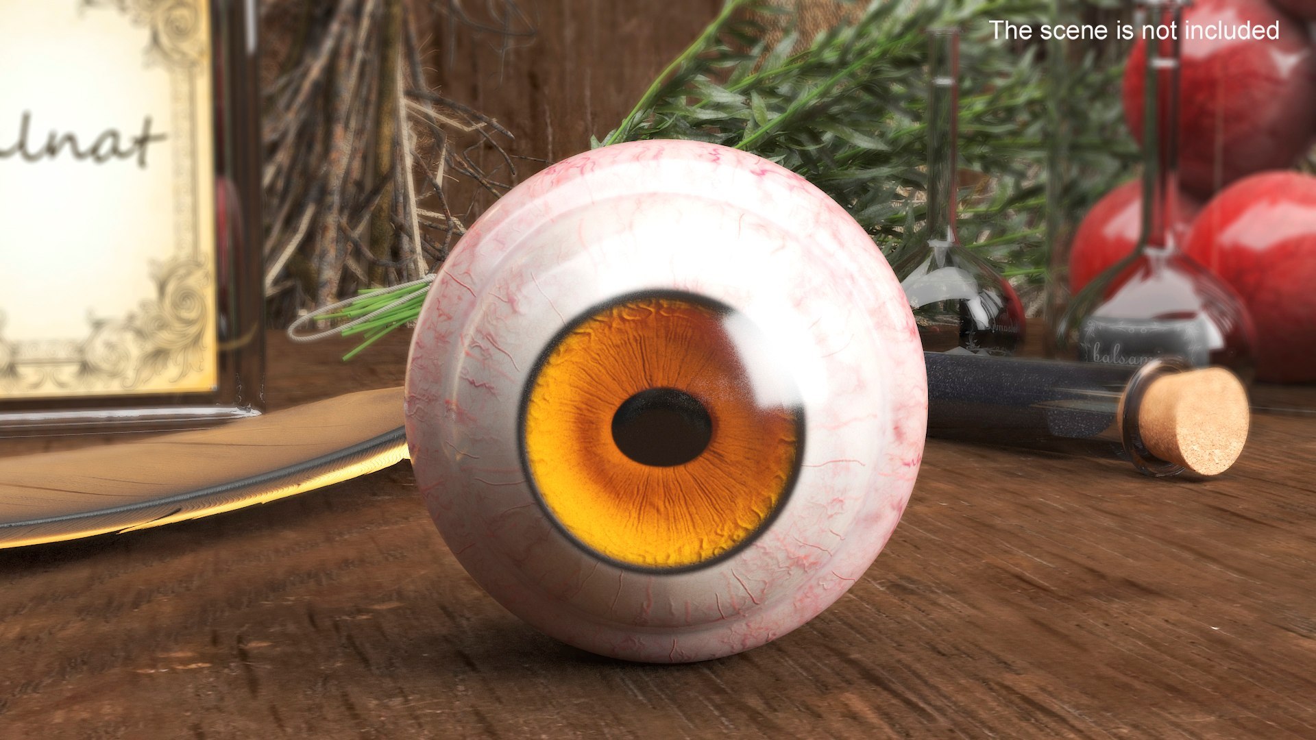 3D Realistic Animal Eyes Collection 5 model https://p.turbosquid.com/ts-thumb/NG/P8XU06/Yf/realistic_animal_eyes_collection_5_002/jpg/1714119312/1920x1080/fit_q87/4cba7aff82de6fec6301e6826fcc16039db293cd/realistic_animal_eyes_collection_5_002.jpg
