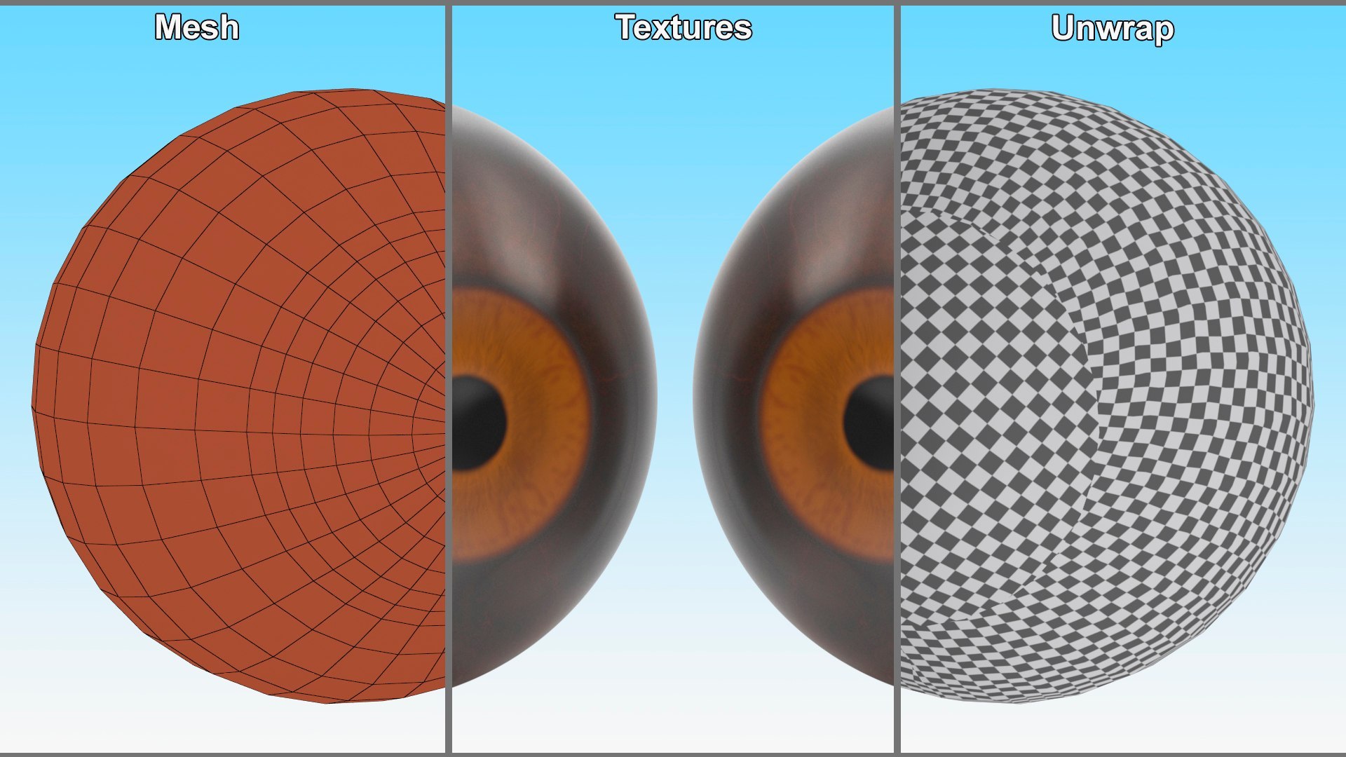 3D Realistic Animal Eyes Collection 5 model https://p.turbosquid.com/ts-thumb/NG/P8XU06/Yv/realistic_animal_eyes_collection_5_026/jpg/1714119325/1920x1080/fit_q87/2dc2d8024afb4f9e2ec4dba7a9042d11deb636dd/realistic_animal_eyes_collection_5_026.jpg