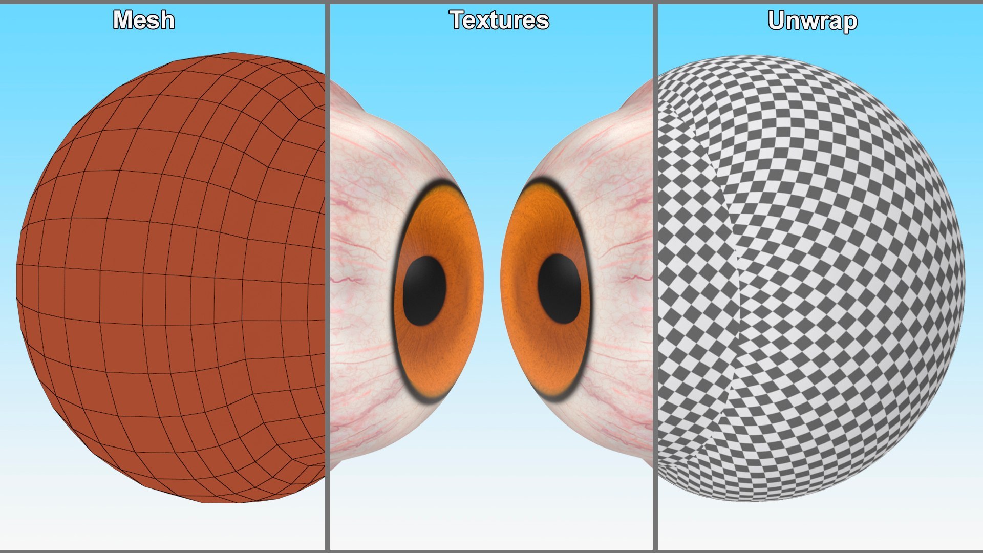 3D Realistic Animal Eyes Collection 5 model https://p.turbosquid.com/ts-thumb/NG/P8XU06/a4/realistic_animal_eyes_collection_5_008/jpg/1714119314/1920x1080/fit_q87/238838e847de2eb5b2c30670cc63360b5de94aae/realistic_animal_eyes_collection_5_008.jpg