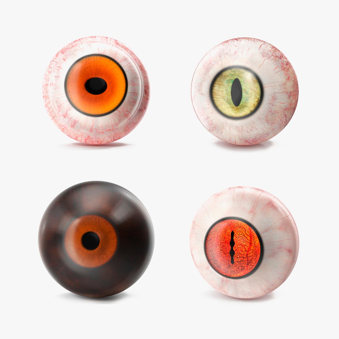 Realistic Animal Eyes Collection 5 3D model preview
