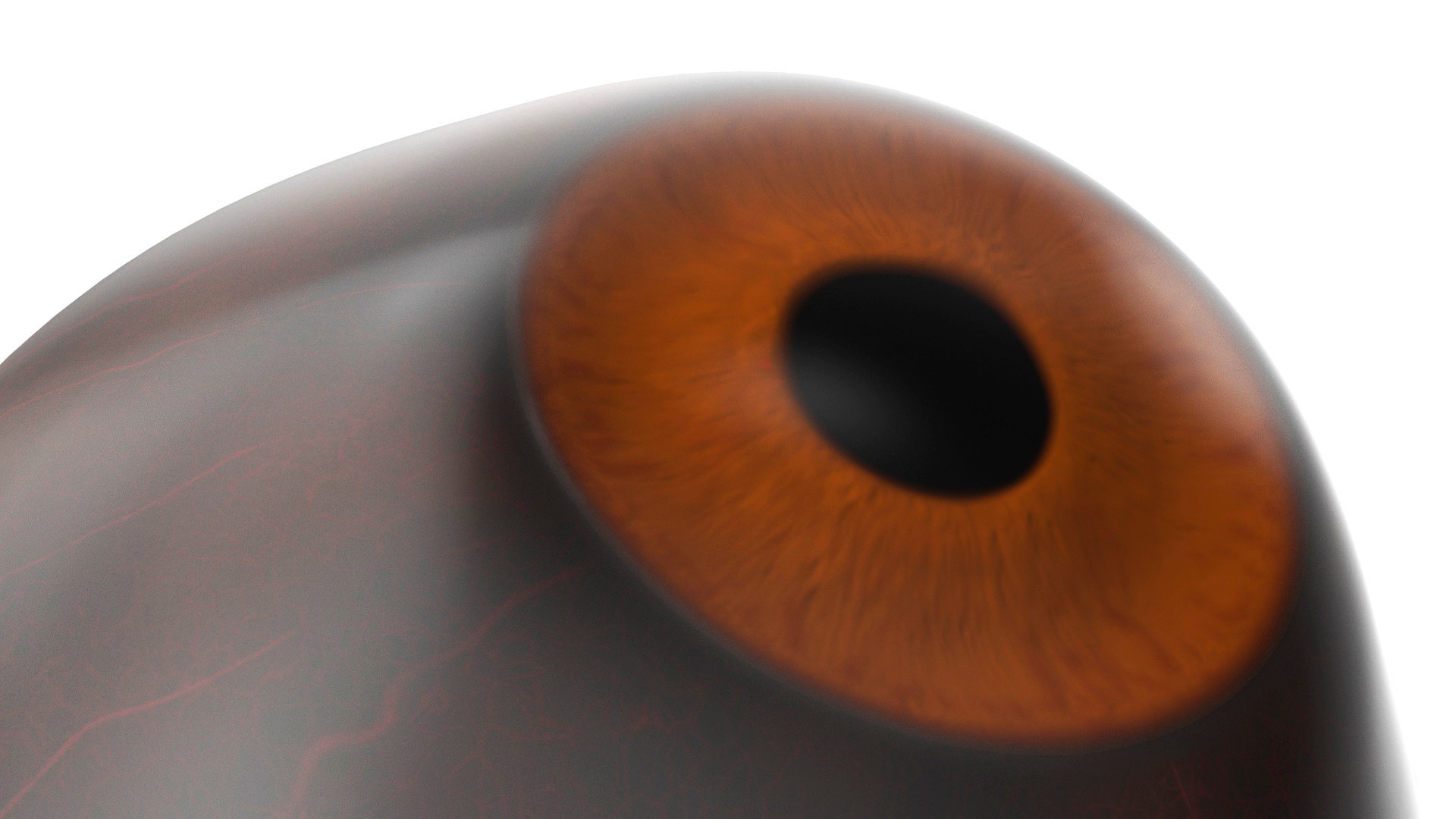 3D Realistic Animal Eyes Collection 5 model https://p.turbosquid.com/ts-thumb/NG/P8XU06/cQ/realistic_animal_eyes_collection_5_030/jpg/1714119327/1920x1080/fit_q87/064723e0f149cbf5f81a4f3aacec99c958891c63/realistic_animal_eyes_collection_5_030.jpg