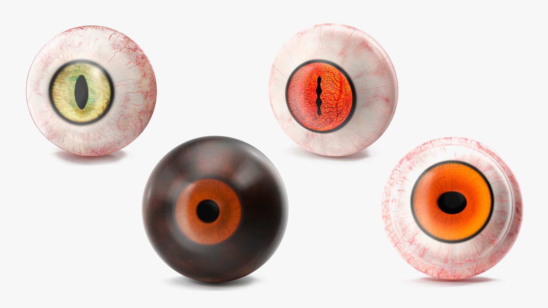 3D Realistic Animal Eyes Collection 5 model https://p.turbosquid.com/ts-thumb/NG/P8XU06/ep/realisticanimaleyescollection53dmodel001/jpg/1714081761/1920x1080/fit_q87/36124170912deb4167930c387e10efe54476b230/realisticanimaleyescollection53dmodel001.jpg