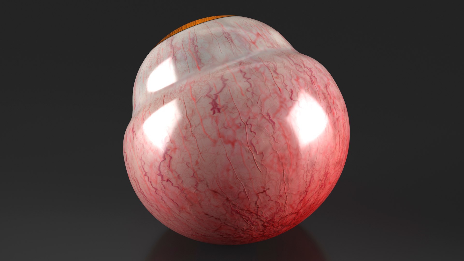 3D Realistic Animal Eyes Collection 5 model https://p.turbosquid.com/ts-thumb/NG/P8XU06/uW/realistic_animal_eyes_collection_5_006/jpg/1714119313/1920x1080/fit_q87/b51e967c620f113fb9b23ce4193b8f4891523cf4/realistic_animal_eyes_collection_5_006.jpg