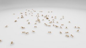 Animated Ants