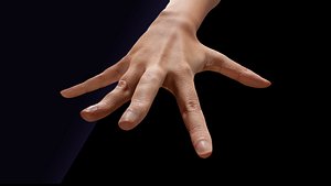 3D Retopologized 3D Hand Alexia Madrid model