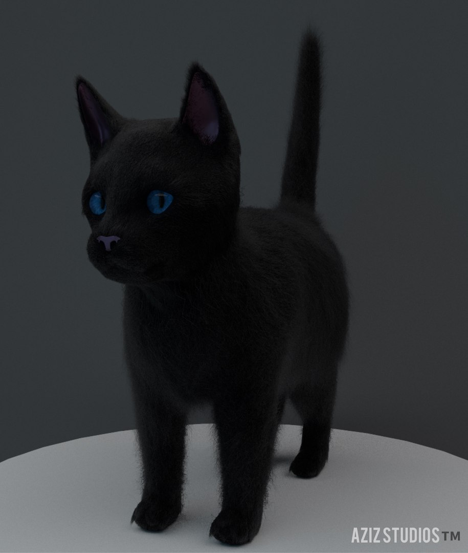 3D black cat model https://p.turbosquid.com/ts-thumb/NG/iJRRJ5/tffyWe7H/img_4616/jpg/1511018191/1920x1080/fit_q87/7f96808ede3dacb0e468260d3830a3feb1732915/img_4616.jpg