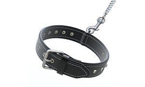 Dog Collar 3D model