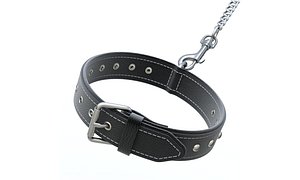 Dog Collar