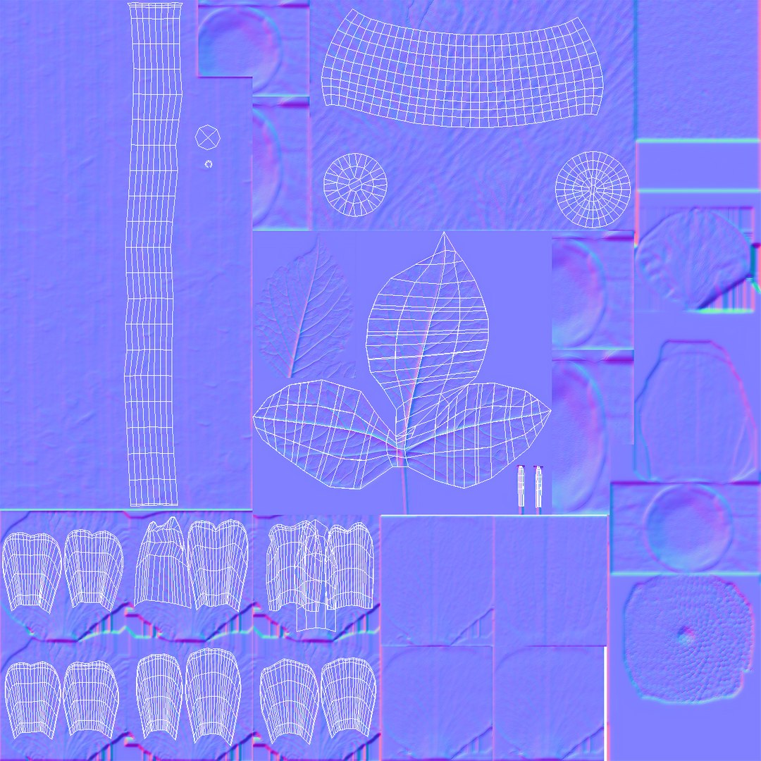 dahlia franz kafka pompon 3D https://p.turbosquid.com/ts-thumb/NG/n4SMFe/B22ZSqLo/dahliafranzkafkapomponwhite3dmodel017/jpg/1597723495/1920x1080/fit_q87/4c6b3682d9354a15d66ed2085e3437112a493a65/dahliafranzkafkapomponwhite3dmodel017.jpg