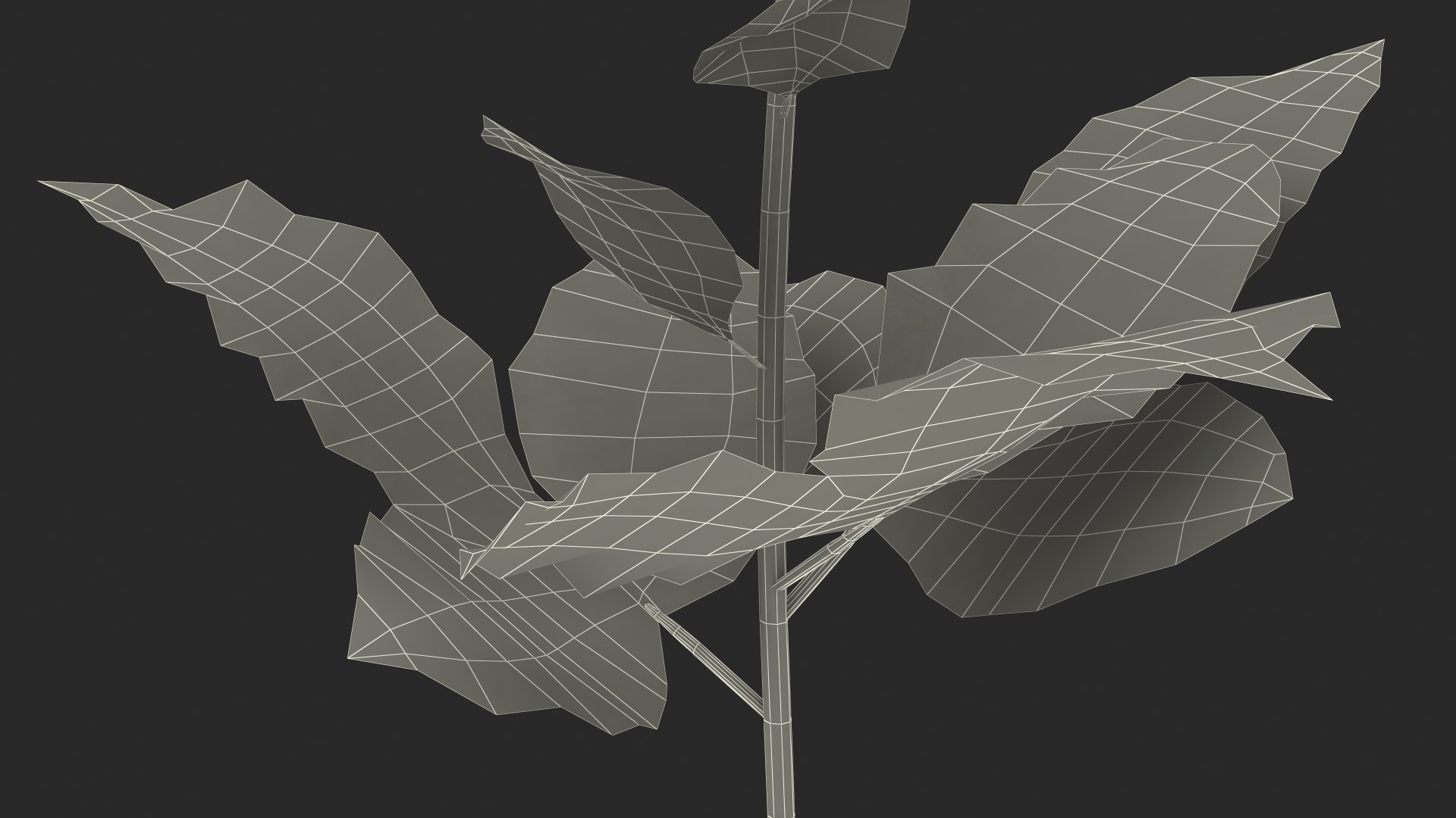 dahlia franz kafka pompon 3D https://p.turbosquid.com/ts-thumb/NG/n4SMFe/EUuA76Tc/dahliafranzkafkapomponwhite3dmodel023/jpg/1597723561/1920x1080/fit_q87/222c5742657176feb1ad403a8630a94f2388670f/dahliafranzkafkapomponwhite3dmodel023.jpg