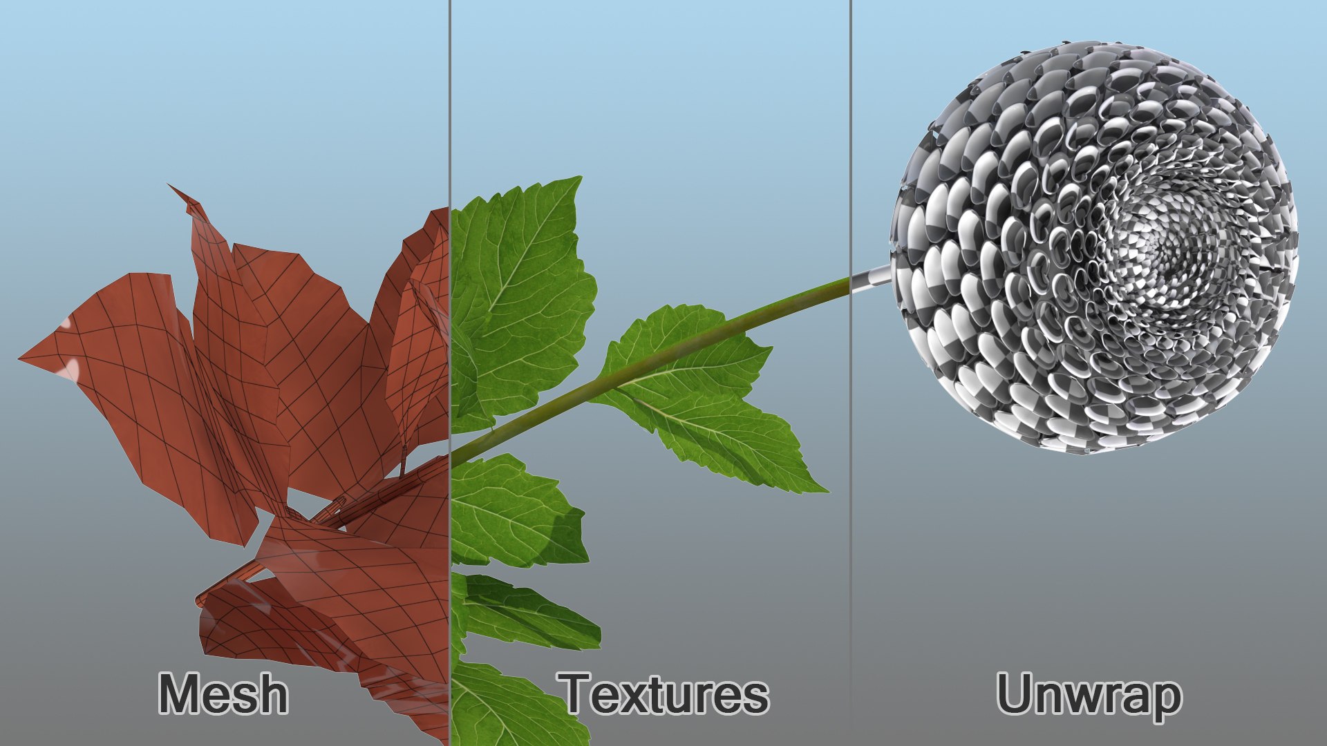 dahlia franz kafka pompon 3D https://p.turbosquid.com/ts-thumb/NG/n4SMFe/NVIntpMB/dahliafranzkafkapomponwhite3dmodel010/jpg/1597723422/1920x1080/fit_q87/e3025785b4ef977f5af48b66575b15fc7cceef8f/dahliafranzkafkapomponwhite3dmodel010.jpg