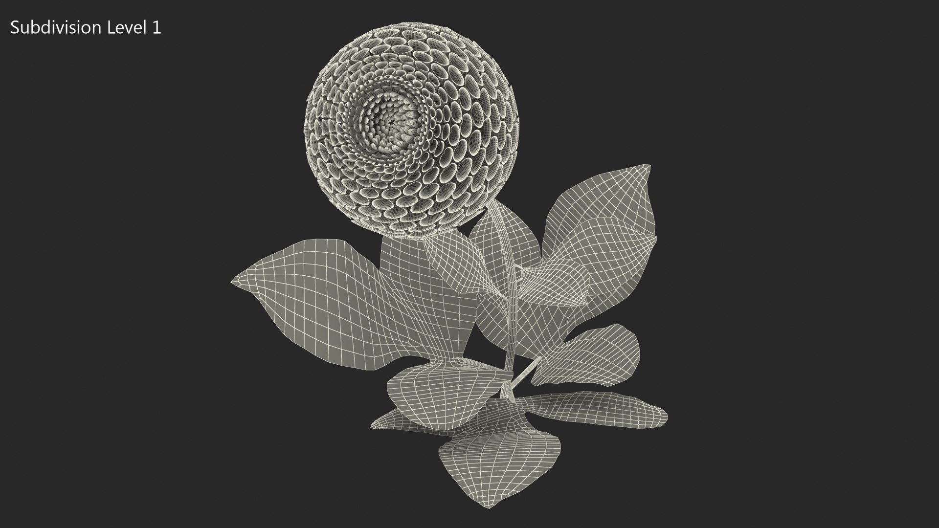 dahlia franz kafka pompon 3D https://p.turbosquid.com/ts-thumb/NG/n4SMFe/OxYeuIIg/dahliafranzkafkapomponwhite3dmodel016/jpg/1597723484/1920x1080/fit_q87/51540869ec0d22f56a5b58eff1cb235d3517b223/dahliafranzkafkapomponwhite3dmodel016.jpg