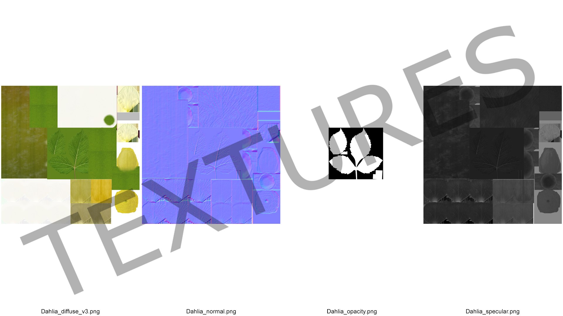 dahlia franz kafka pompon 3D https://p.turbosquid.com/ts-thumb/NG/n4SMFe/Rb2lDzKe/dahliafranzkafkapomponwhite3dmodel018/jpg/1597723507/1920x1080/fit_q87/cd8dbb81406f1a6931265d422c7c415ba7d3ae86/dahliafranzkafkapomponwhite3dmodel018.jpg