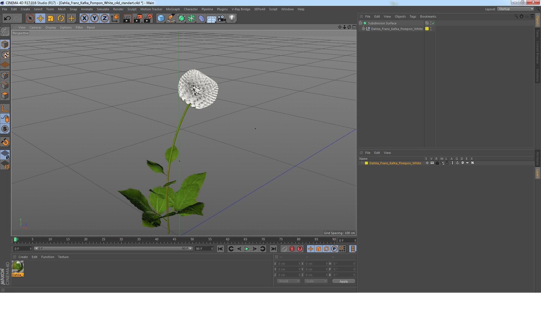 dahlia franz kafka pompon 3D https://p.turbosquid.com/ts-thumb/NG/n4SMFe/aFOC2iKK/dahliafranzkafkapomponwhite3dmodel013/jpg/1597723453/1920x1080/fit_q87/9b83d299bbb15415acee839a4fbc786f8edf46cf/dahliafranzkafkapomponwhite3dmodel013.jpg