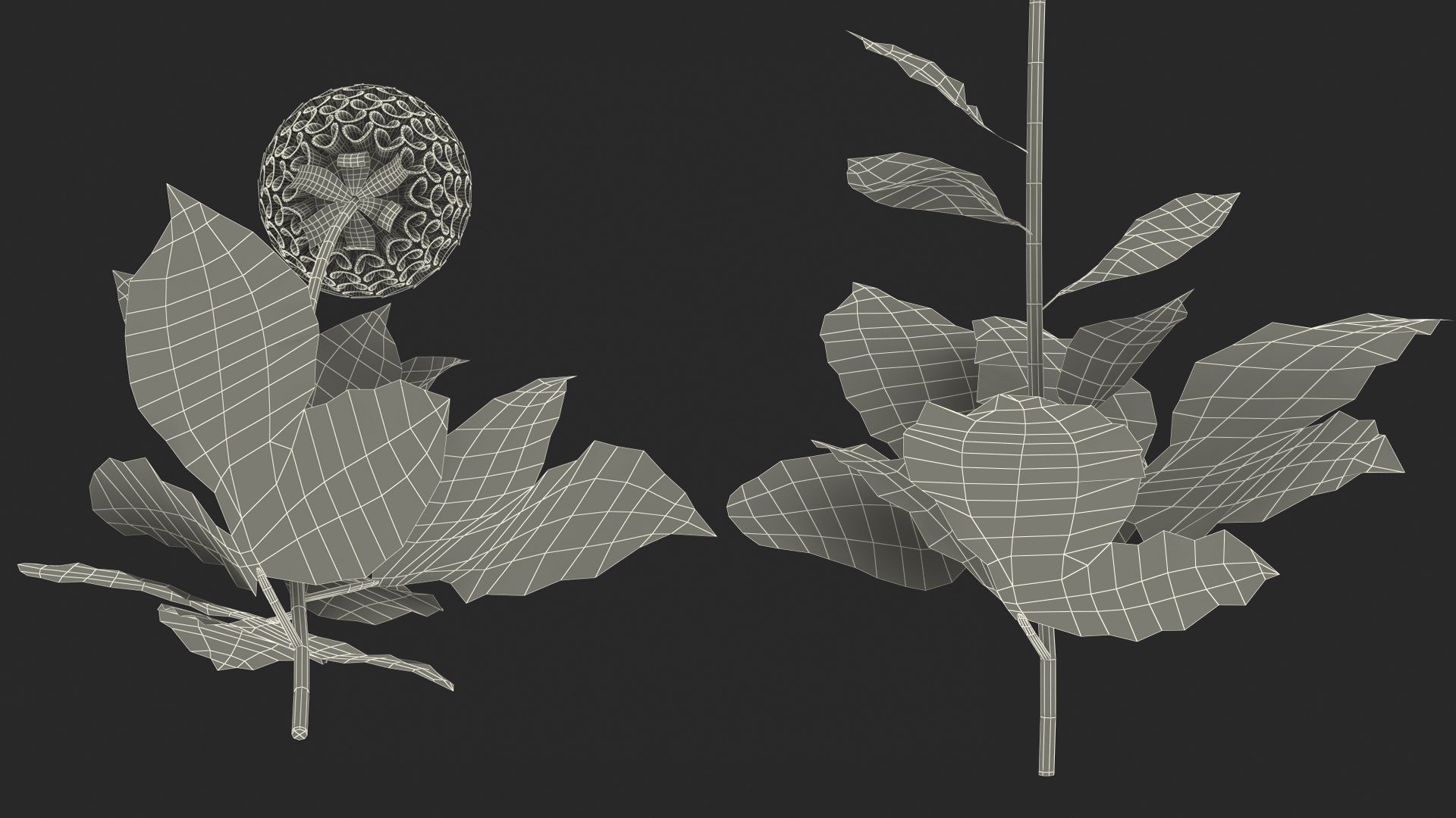 dahlia franz kafka pompon 3D https://p.turbosquid.com/ts-thumb/NG/n4SMFe/fDaNPJkl/dahliafranzkafkapomponwhite3dmodel024/jpg/1597723572/1920x1080/fit_q87/a5c45b8efffa582044f6ac30087df0bf224e6638/dahliafranzkafkapomponwhite3dmodel024.jpg
