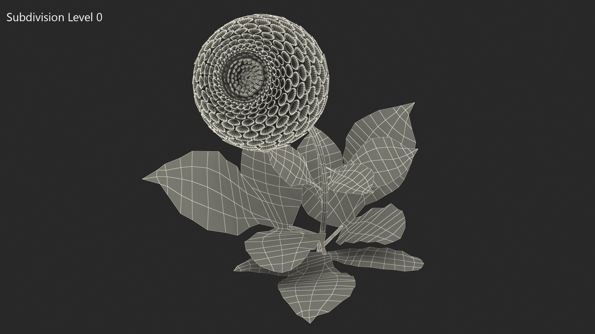 dahlia franz kafka pompon 3D https://p.turbosquid.com/ts-thumb/NG/n4SMFe/xgRQ61jC/dahliafranzkafkapomponwhite3dmodel015/jpg/1597723474/1920x1080/fit_q87/237555685e3b68e8ef74a83f22066c8e6e51f7f7/dahliafranzkafkapomponwhite3dmodel015.jpg