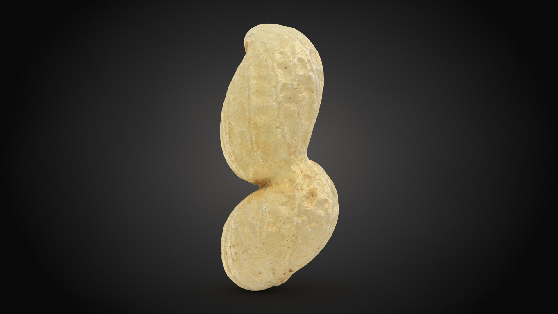 Peanut Shell Collection 2 3D model https://p.turbosquid.com/ts-thumb/NG/w1RYVz/4A/peanutshell_4_a0001/jpg/1663502516/1920x1080/fit_q87/6416242c2f449257dc4db4d1998230d15b5e48a2/peanutshell_4_a0001.jpg