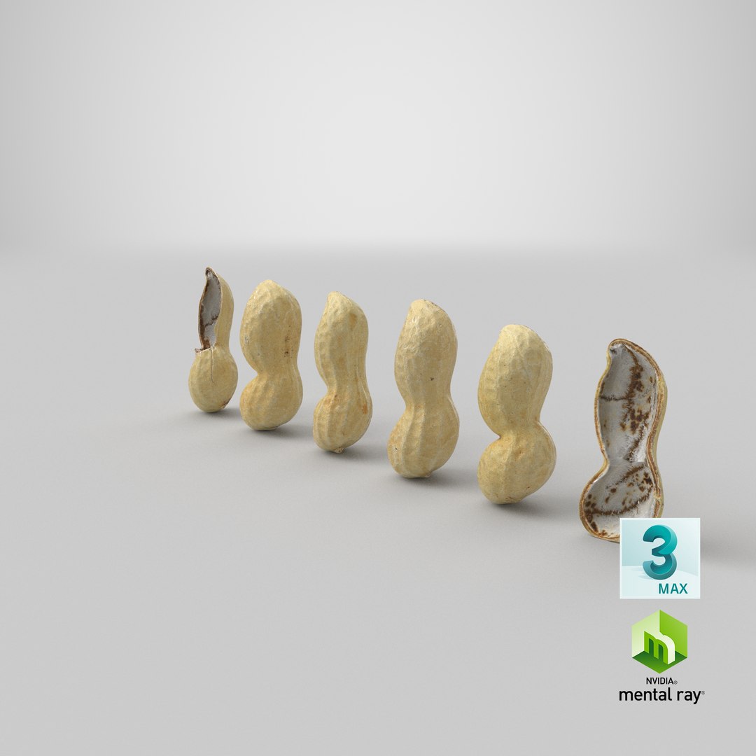 Peanut Shell Collection 2 3D model https://p.turbosquid.com/ts-thumb/NG/w1RYVz/5e/stemcell_max_mental_ray_render/png/1664355327/1920x1080/fit_q87/16292d198e437083bfbad5b13a3c5abff5bb6e4a/stemcell_max_mental_ray_render.jpg