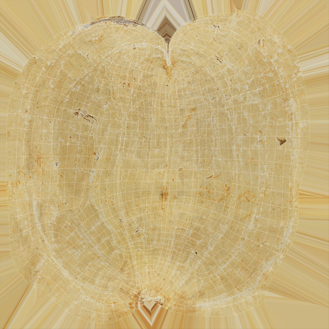 Peanut Shell Collection 2 3D model https://p.turbosquid.com/ts-thumb/NG/w1RYVz/5m/peanutshell_3_d0004/jpg/1663427333/1920x1080/fit_q87/32b1212050dcb5aaa4e394773c4231c33aeb892b/peanutshell_3_d0004.jpg