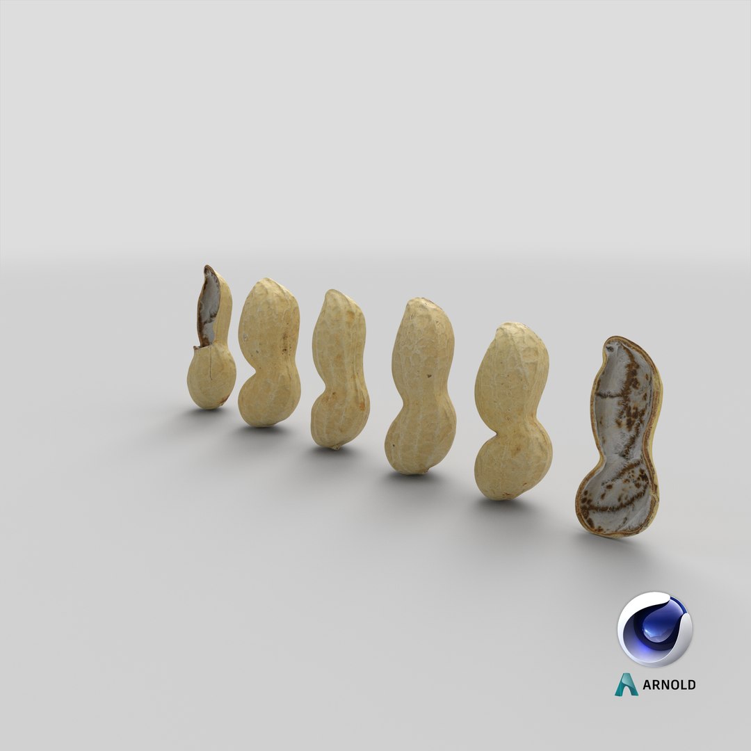 Peanut Shell Collection 2 3D model https://p.turbosquid.com/ts-thumb/NG/w1RYVz/91/stemcell_cinema_4d_arnold_render/png/1664355321/1920x1080/fit_q87/10099612adcd895d6b2ade59f1a4b667a9245039/stemcell_cinema_4d_arnold_render.jpg