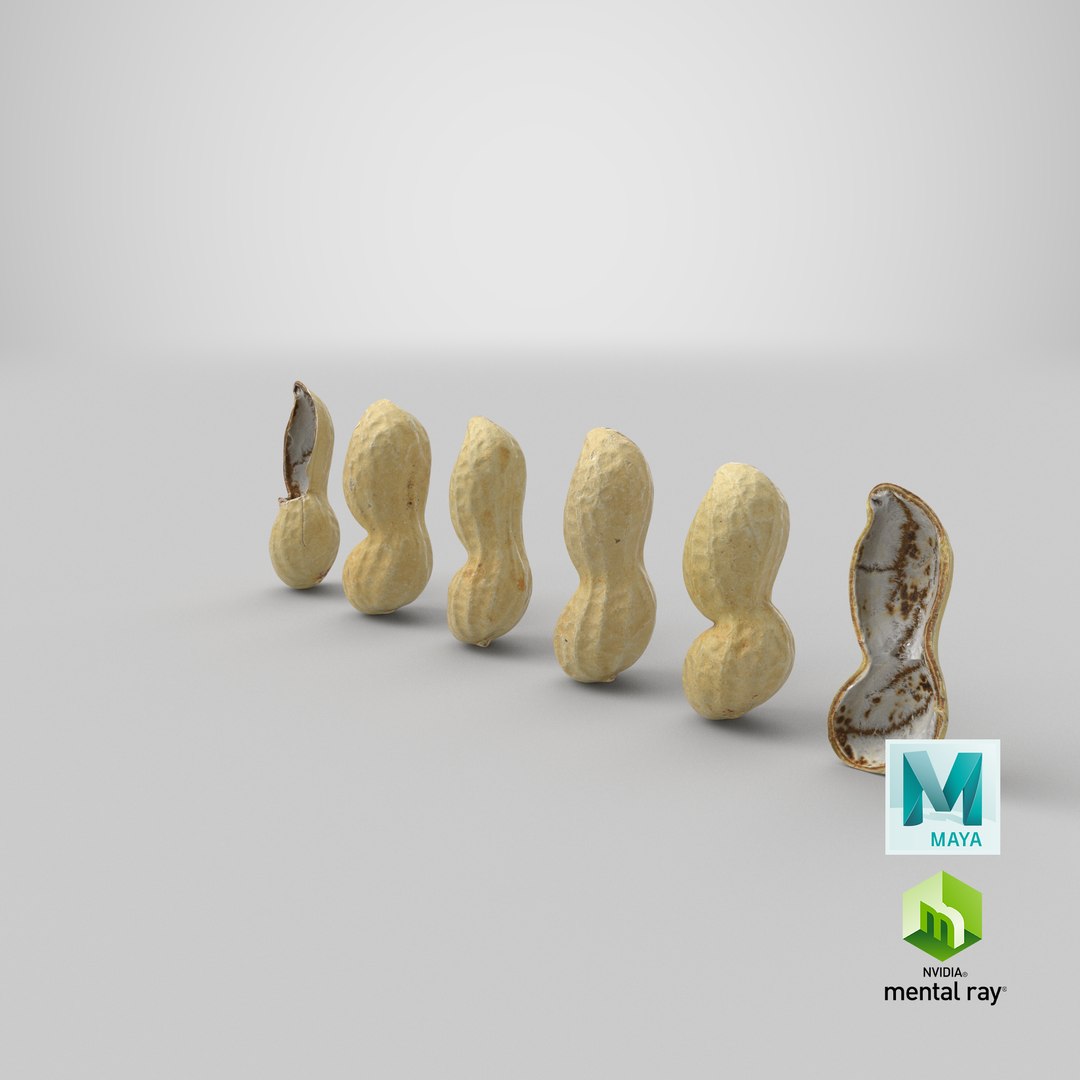 Peanut Shell Collection 2 3D model https://p.turbosquid.com/ts-thumb/NG/w1RYVz/ZO/stemcell_maya_mental_ray_render/png/1664355333/1920x1080/fit_q87/30dac44ecf27ac3d898cccd3ca90ef99ad7ad178/stemcell_maya_mental_ray_render.jpg