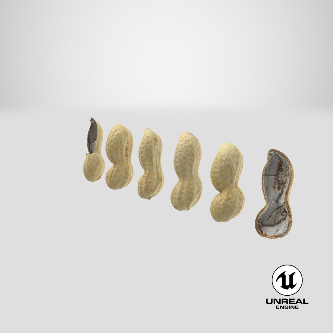 Peanut Shell Collection 2 3D model https://p.turbosquid.com/ts-thumb/NG/w1RYVz/aR/stemcell_unreal_render/png/1664355324/1920x1080/fit_q87/d599ae5f80bbc97160de9def546339d3140ceb85/stemcell_unreal_render.jpg