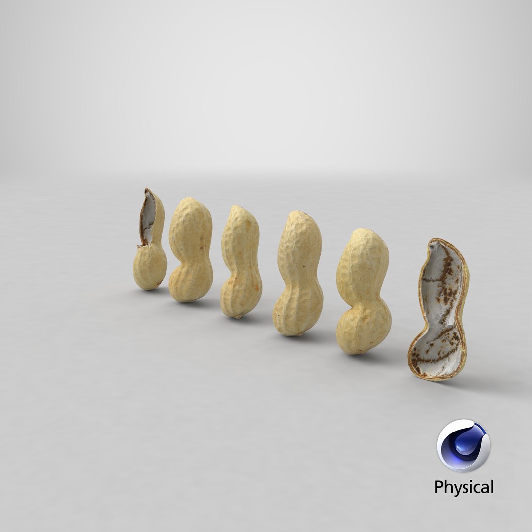 Peanut Shell Collection 2 3D model https://p.turbosquid.com/ts-thumb/NG/w1RYVz/tD/stemcell_cinema_4d_physical_render/png/1664355319/1920x1080/fit_q87/24bc23a20e7e324ac2a15b3d971e939a5602ddec/stemcell_cinema_4d_physical_render.jpg