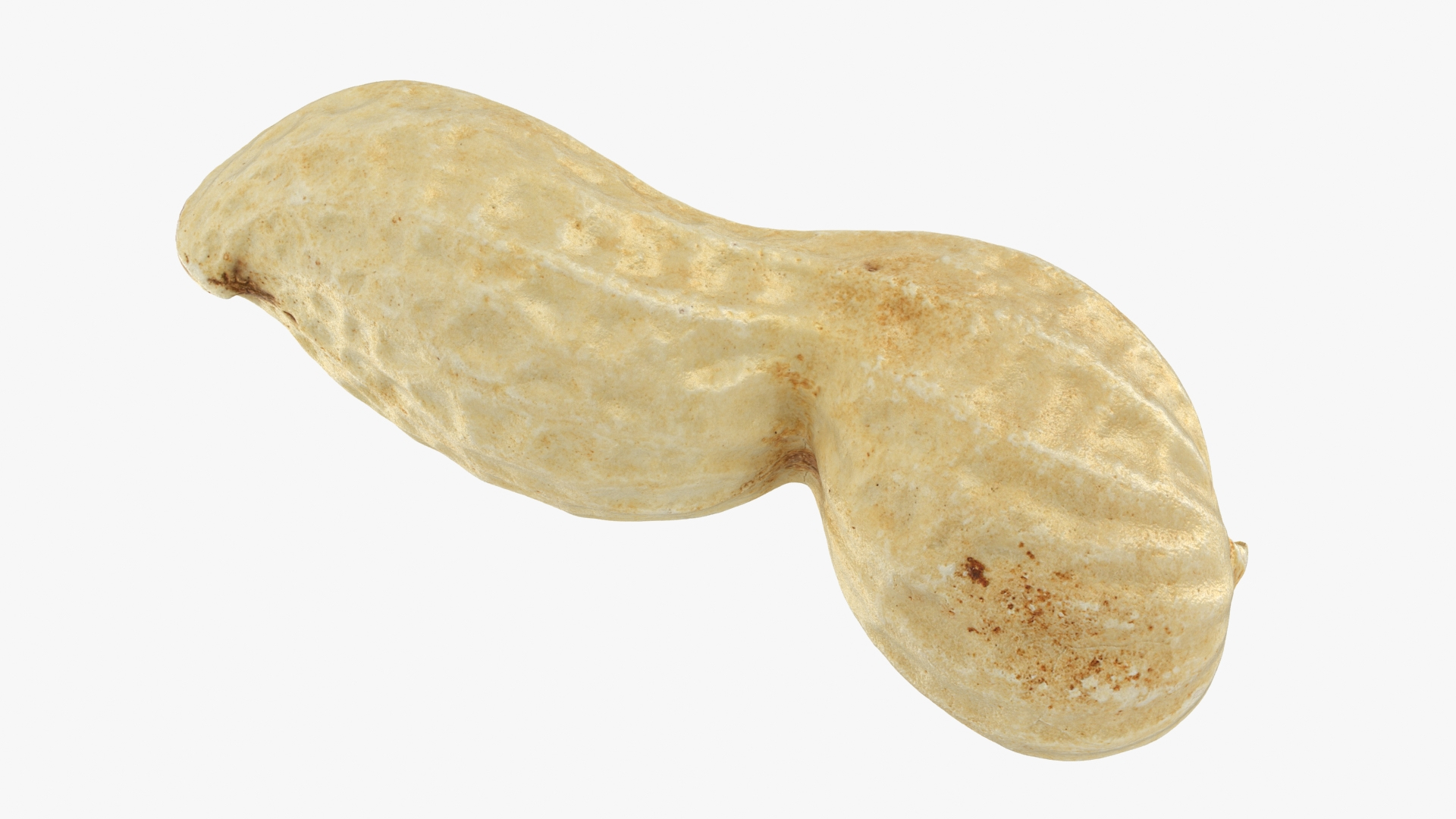 Peanut Shell Collection 2 3D model https://p.turbosquid.com/ts-thumb/NG/w1RYVz/tQ/peanutshell_2/jpg/1663232309/1920x1080/turn_fit_q99/21d4afc8951d9fd14ff4ec6e139a5a24c12a76fa/peanutshell_2-1.jpg