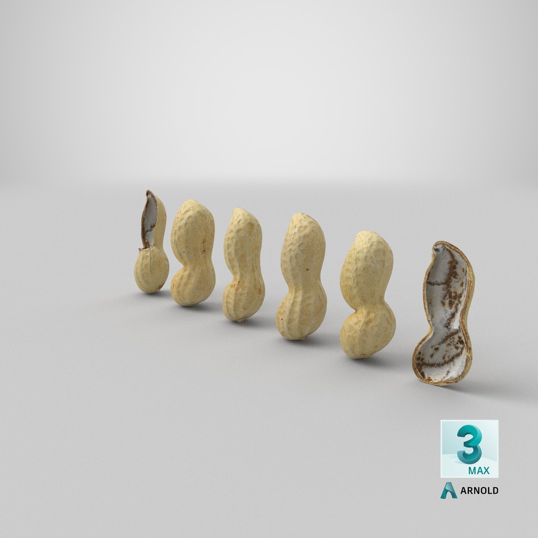Peanut Shell Collection 2 3D model https://p.turbosquid.com/ts-thumb/NG/w1RYVz/vj/stemcell_max_arnold_render/png/1664355325/1920x1080/fit_q87/1415a457782e482f6ed94d736bd27c88480c09e1/stemcell_max_arnold_render.jpg