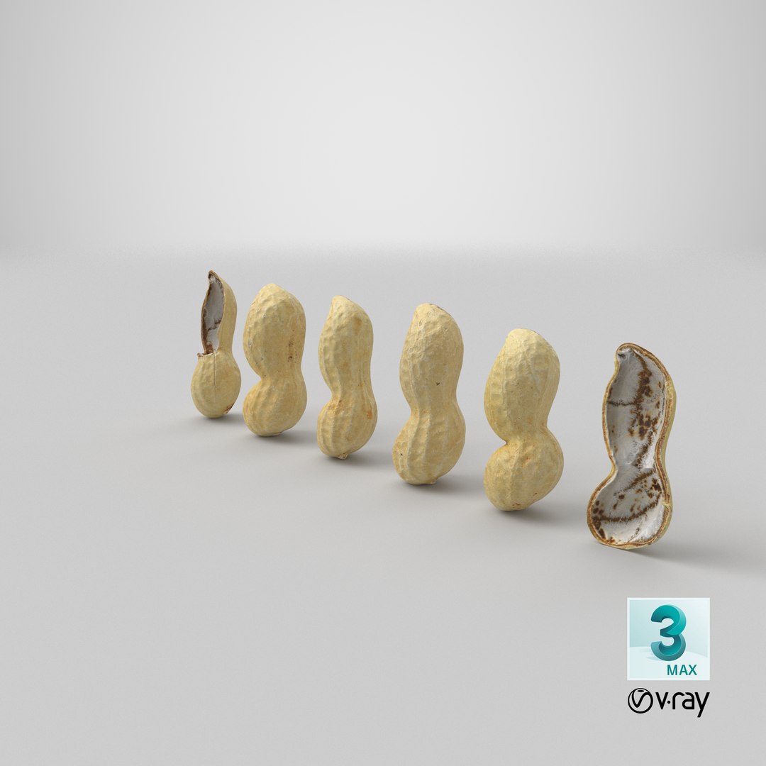 Peanut Shell Collection 2 3D model https://p.turbosquid.com/ts-thumb/NG/w1RYVz/wM/stemcell_max_vray_render/png/1664355329/1920x1080/fit_q87/63f82aa50b5537d6bc0aa30db96193976c94eb49/stemcell_max_vray_render.jpg